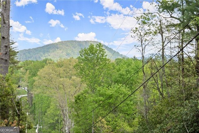 mountain view with a forest view