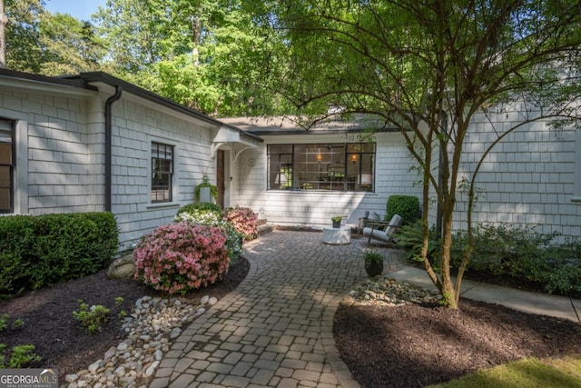 exterior space with a patio area