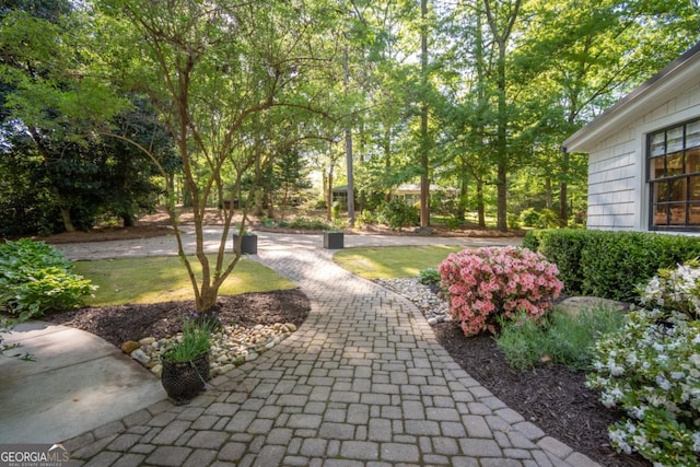 surrounding community featuring a yard