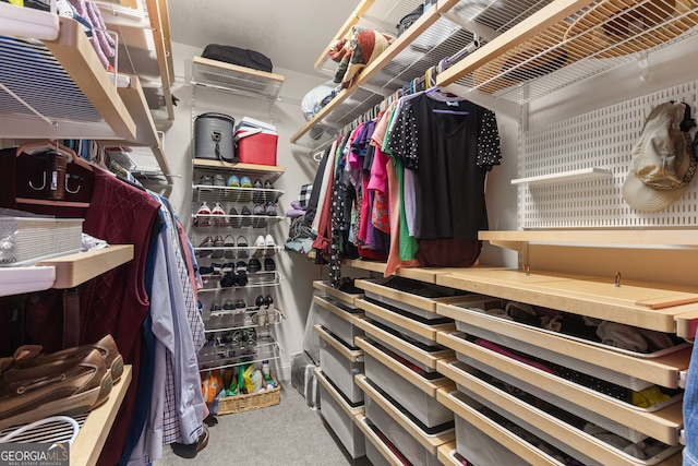 spacious closet with carpet floors