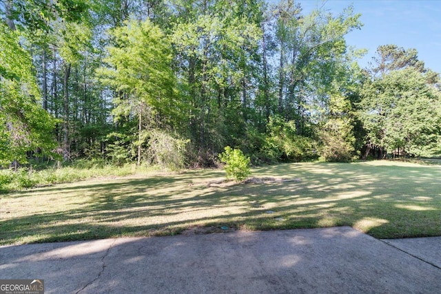 view of grassy yard featuring a patio