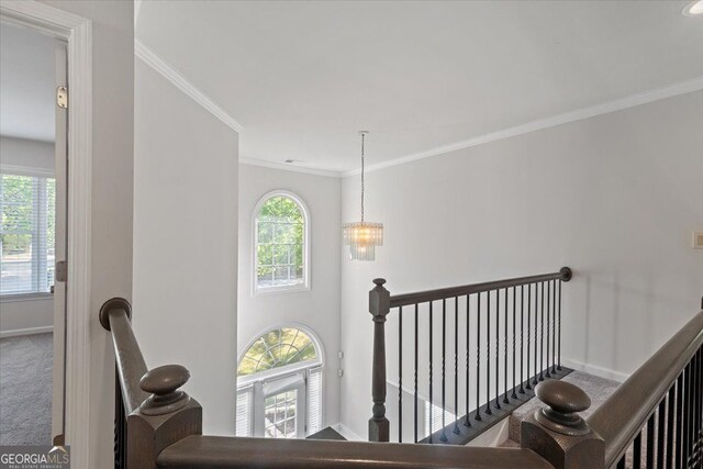 stairs featuring carpet floors, ornamental molding, and baseboards