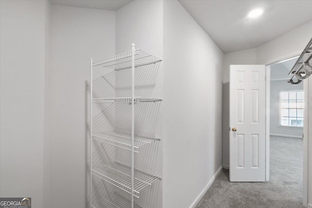 walk in closet with carpet flooring
