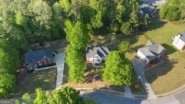 bird's eye view