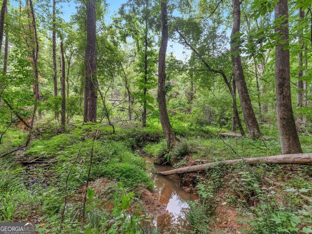 930 Singley Dr, Locust Grove, GA 30248 - view of nature