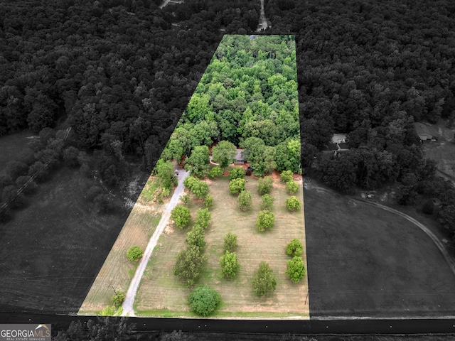 930 Singley Dr, Locust Grove, GA 30248 - birds eye view of property featuring a view of trees
