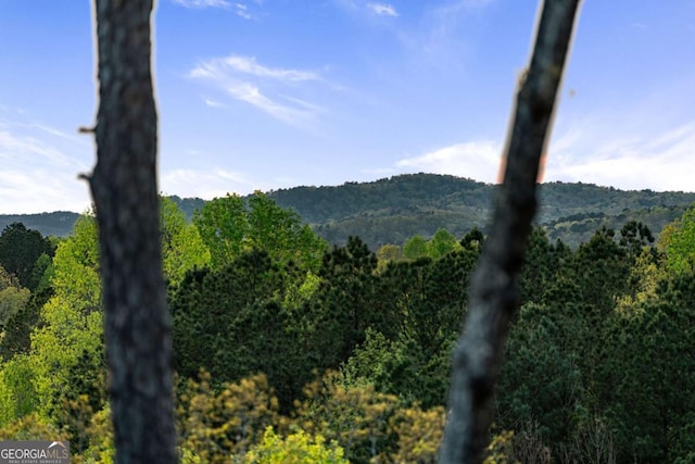 mountain view featuring a wooded view