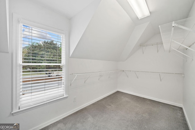 515 Old Chartwell Xing, Alpharetta, GA 30022 - spacious closet with carpet floors and lofted ceiling