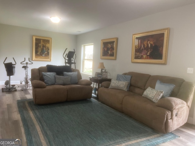 living area featuring wood finished floors