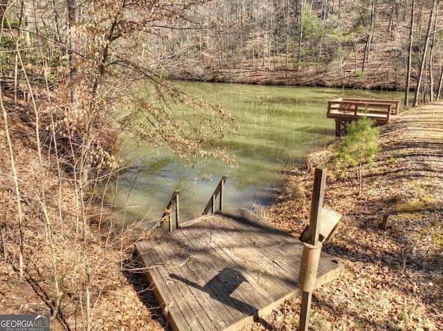 638 Cohutta Mountain Rd, Blue Ridge, GA 30513 - dock area with a view of trees and a water view