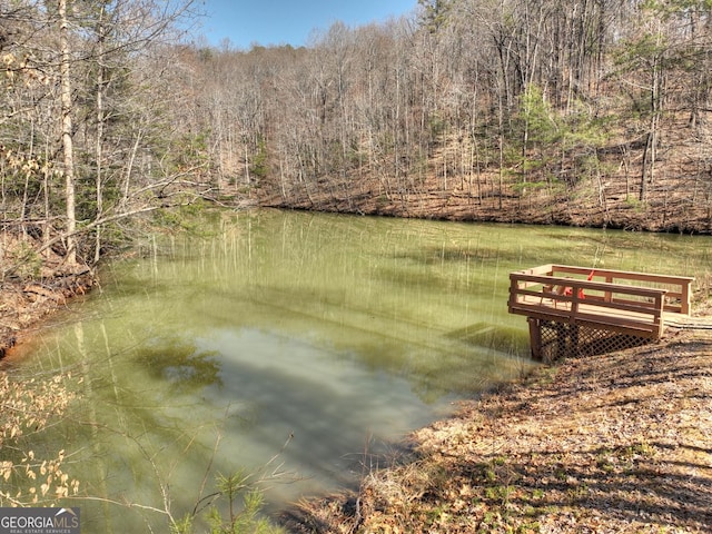 638 Cohutta Mountain Rd, Blue Ridge, GA 30513 - view of water feature with a view of trees