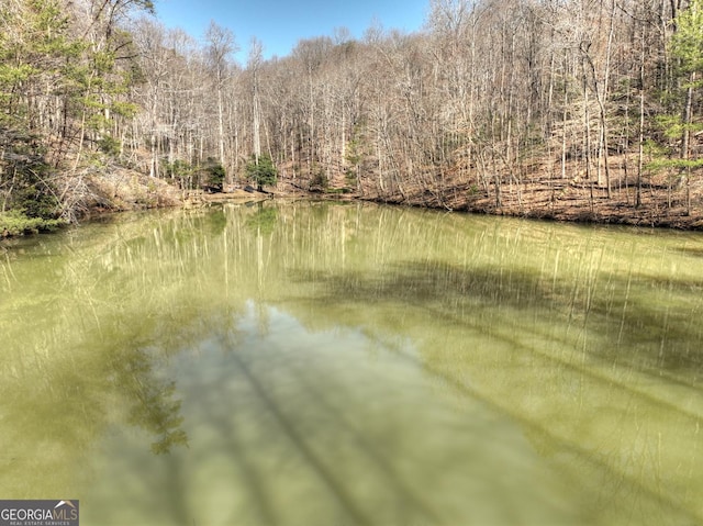 638 Cohutta Mountain Rd, Blue Ridge, GA 30513 - view of water feature featuring a wooded view