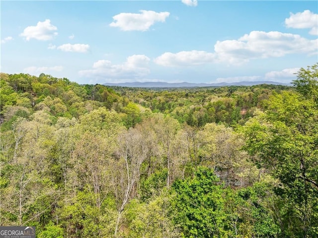 view of local wilderness with a wooded view