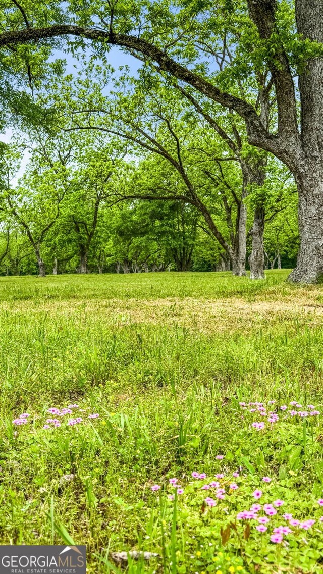 117 Zebulon St, Milner, GA 30257