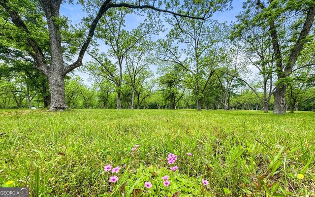117 Zebulon St, Milner, GA 30257