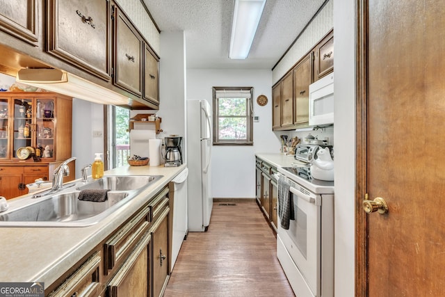 kitchen featuring light wood-style floors, a sink, plenty of natural light, and white appliances