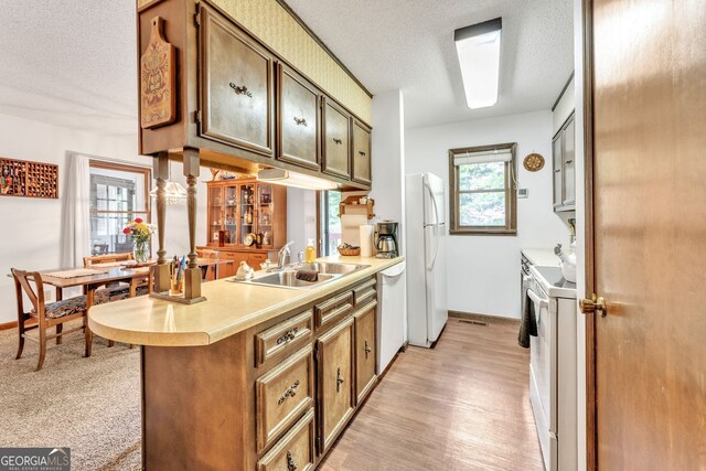 kitchen with a textured ceiling, a sink, light countertops, baseboards, and white appliances