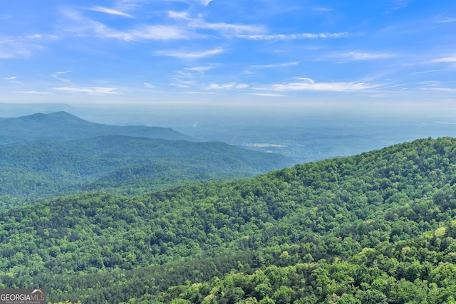 view of mountain feature featuring a wooded view