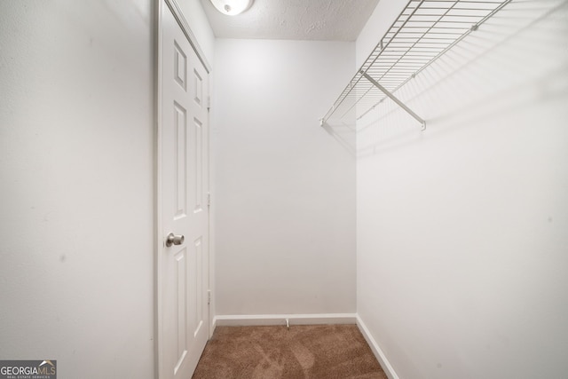 spacious closet with light carpet