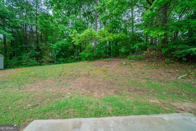 view of yard
