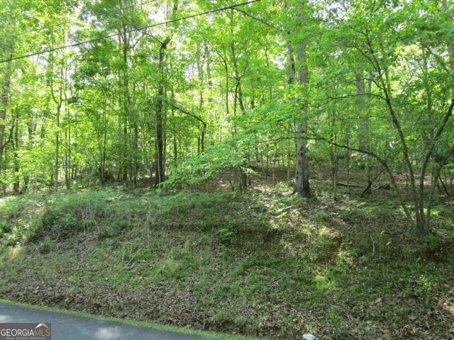 3515 Ridge Dr, Gainesville, GA 30501