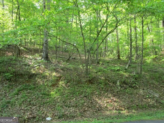 3515 Ridge Dr, Gainesville, GA 30501