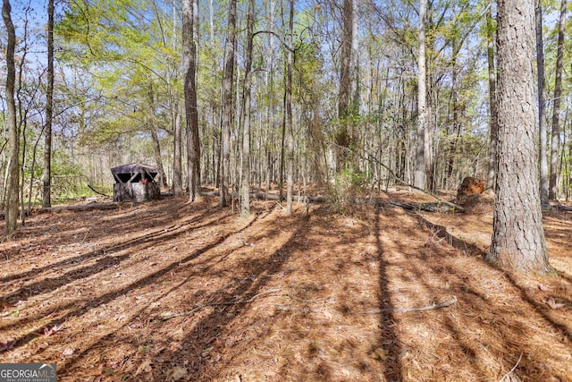 20.14 Drew Allen Rd, Williamson, GA 30292