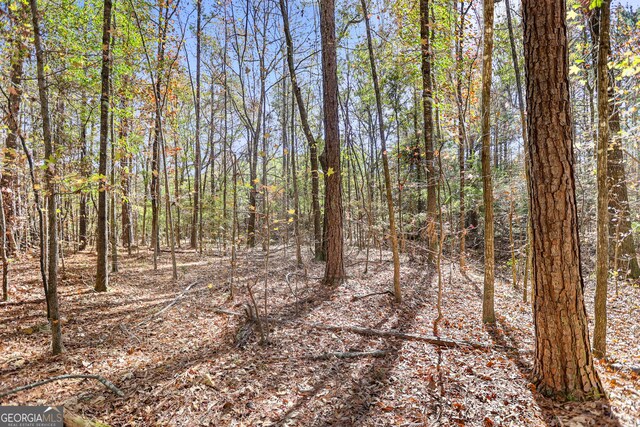 20.14 Drew Allen Rd, Williamson, GA 30292