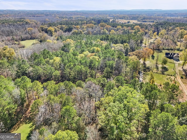 20.14 Drew Allen Rd, Williamson, GA 30292