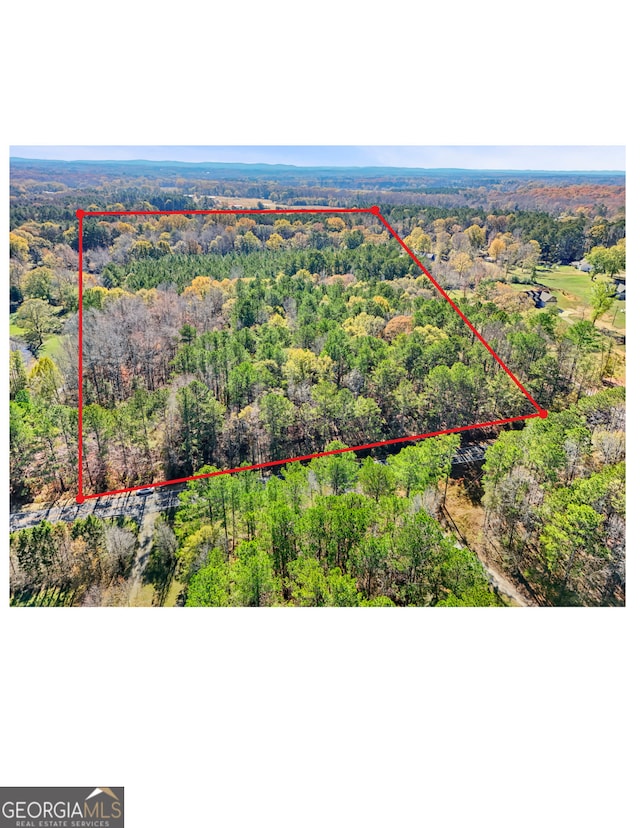 20.14 Drew Allen Rd, Williamson, GA 30292
