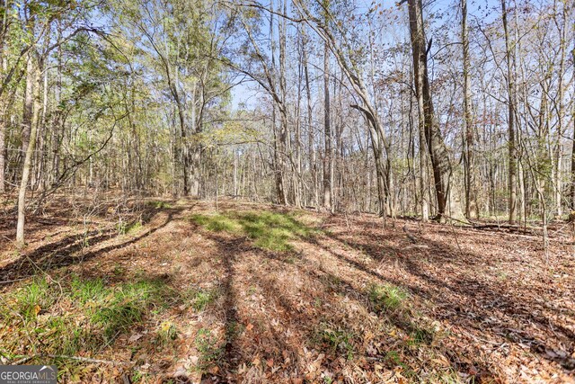 20.14 Drew Allen Rd, Williamson, GA 30292