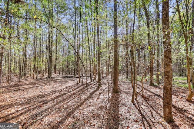 20.14 Drew Allen Rd, Williamson, GA 30292