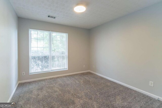 3856 Vine Stone Dr, Lithonia, GA 30038 - carpeted spare room with healthy amount of natural light and a textured ceiling