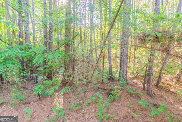 view of local wilderness featuring a forest view
