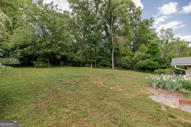 view of yard