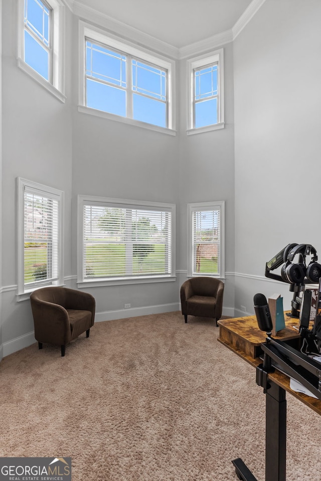 279 Sturry Dr, Mcdonough, GA 30252 - sitting room with carpet flooring, crown molding, a wealth of natural light, and a towering ceiling