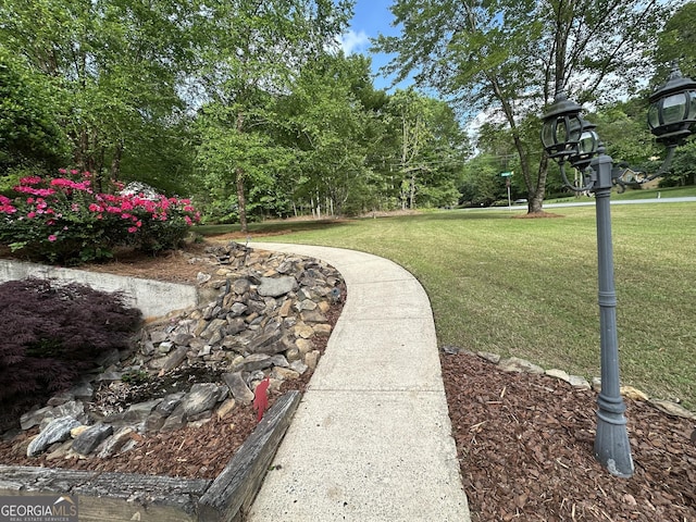 view of property's community featuring a yard
