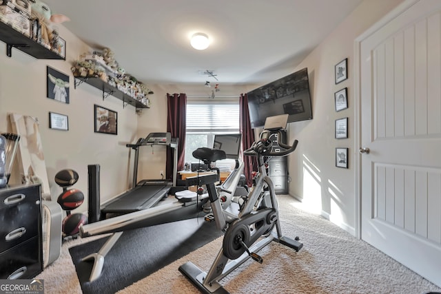 workout area featuring carpet floors