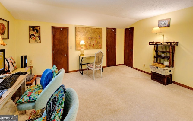 63 Eagle Chase Cir, Dillard, GA 30537 - sitting room with vaulted ceiling and carpet flooring