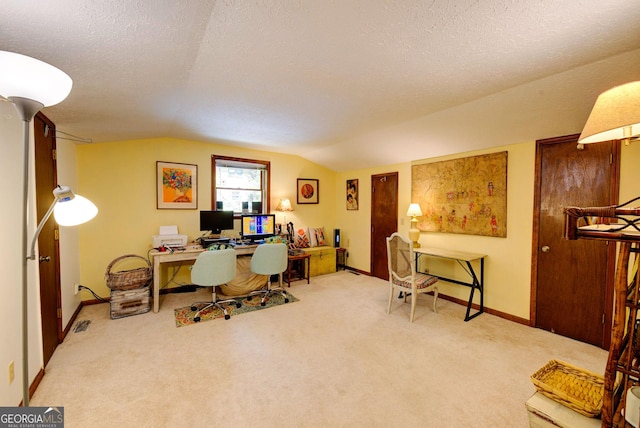 63 Eagle Chase Cir, Dillard, GA 30537 - carpeted home office with lofted ceiling, baseboards, and a textured ceiling