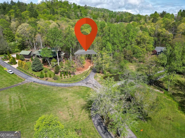 63 Eagle Chase Cir, Dillard, GA 30537 - drone / aerial view of a forest