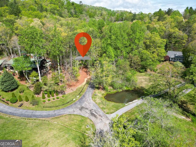 63 Eagle Chase Cir, Dillard, GA 30537 - bird's eye view featuring a forest view