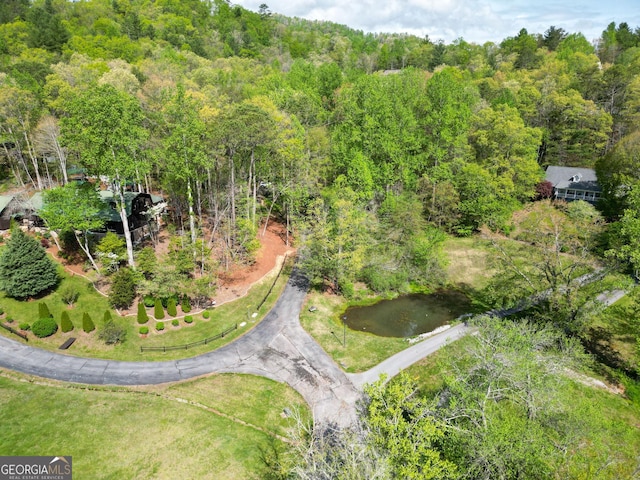 63 Eagle Chase Cir, Dillard, GA 30537 - aerial view of a forest