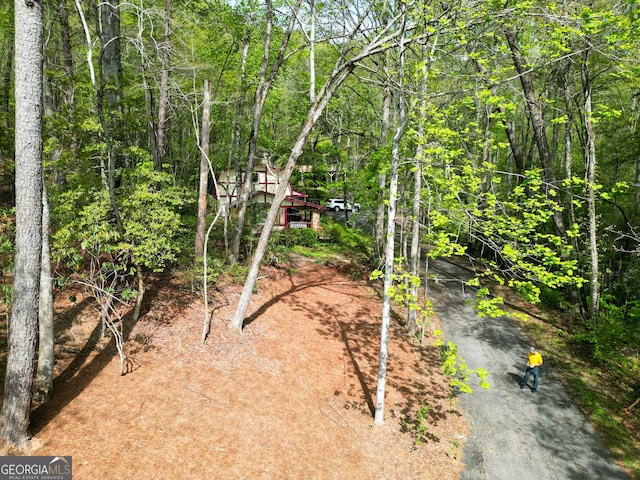 63 Eagle Chase Cir, Dillard, GA 30537 - view of undeveloped land