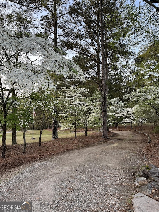 171 Wynn Dr, Hampton, GA 30228 - view of yard