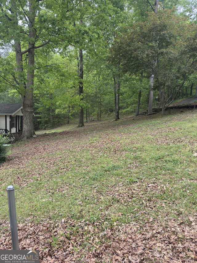492 Garmon Rd, Cedartown, GA 30125 - view of yard