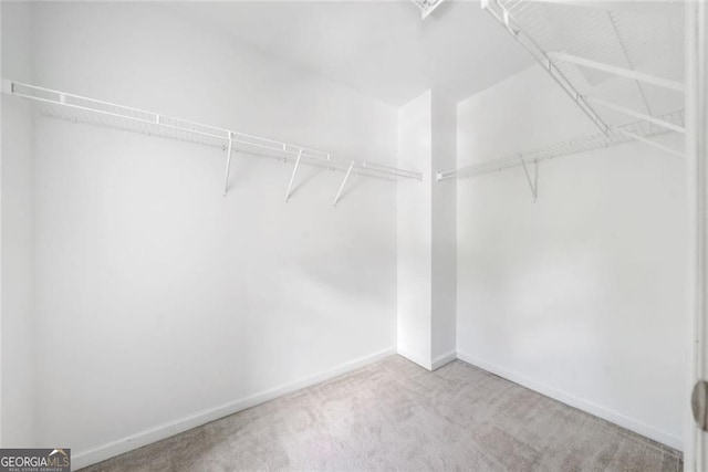 spacious closet featuring carpet