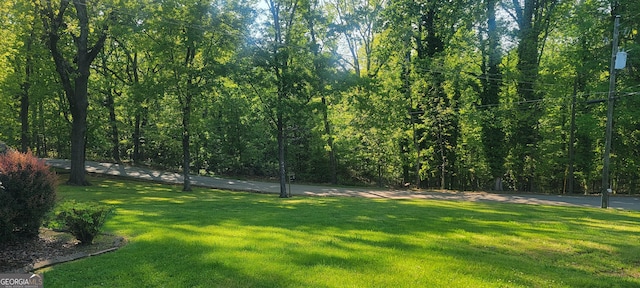 view of yard with a wooded view