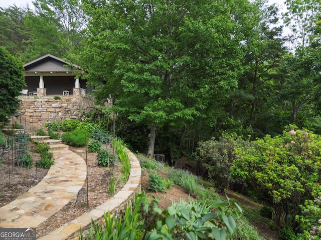 295 Goble Gap Rd, Clayton, GA 30525 - view of yard