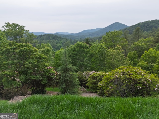 295 Goble Gap Rd, Clayton, GA 30525 - view of mountain backdrop with a forest